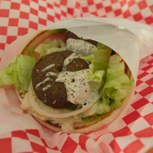 Falafel Plate